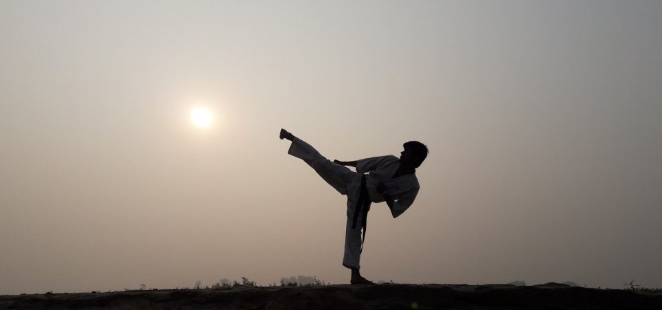 karate.sunset.kick